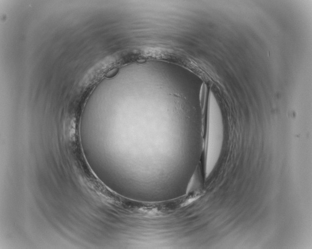 X0000087590502200705112307