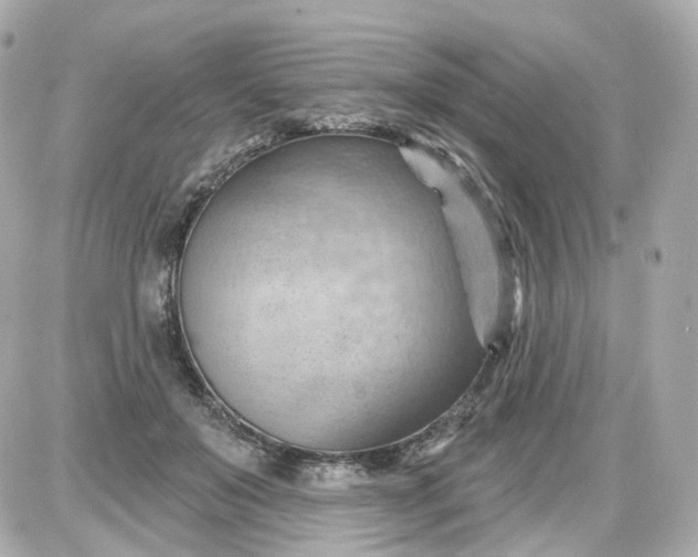 X0000087590503200705112307