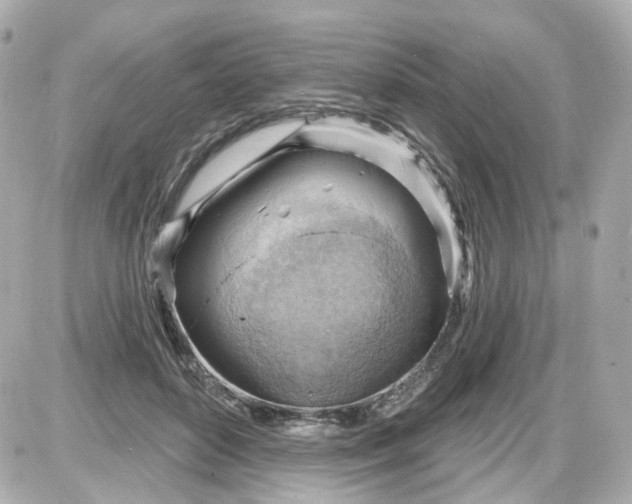 X0000087590504200705112306