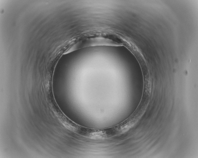 X0000087590505200705112306