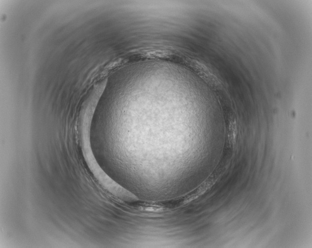 X0000087590506200705112306