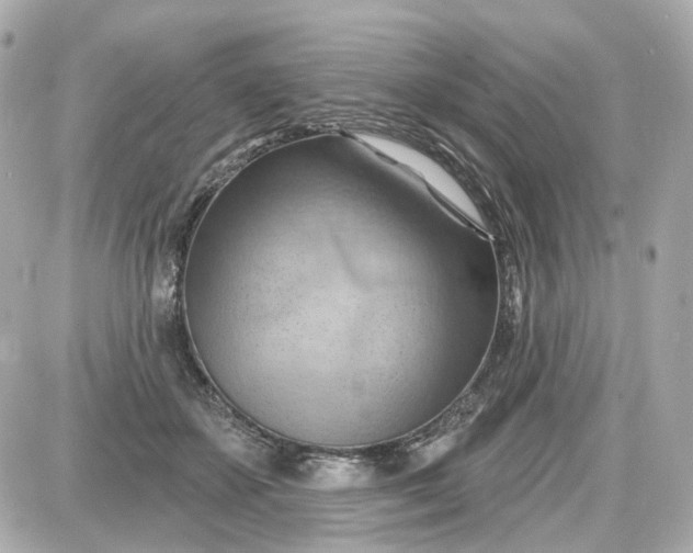 X0000087590507200705112306