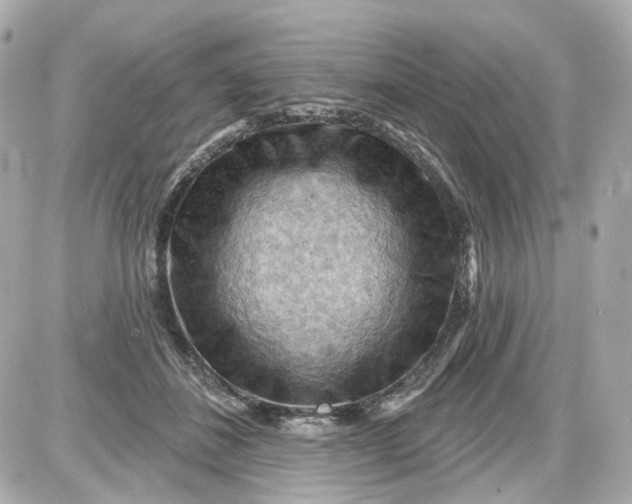 X0000087590508200705112306