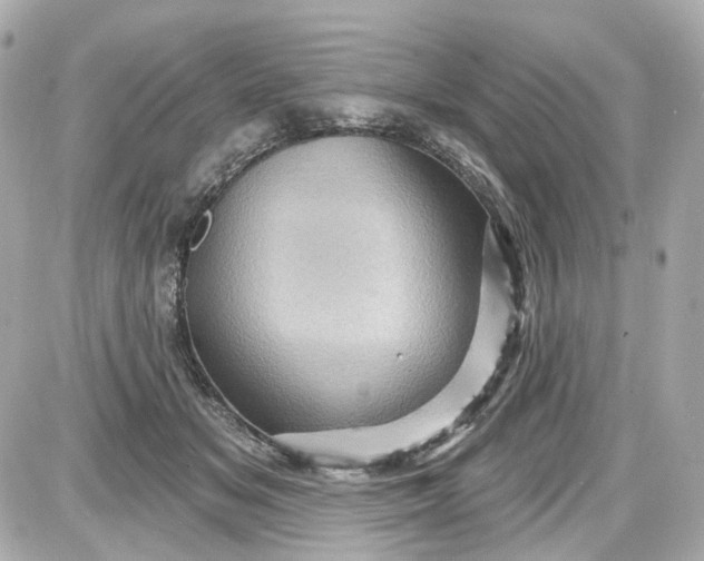 X0000087590509200705112306