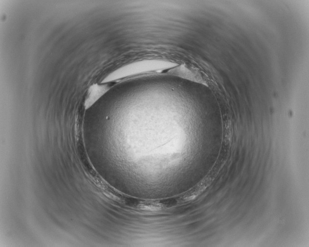 X0000087590510200705112306