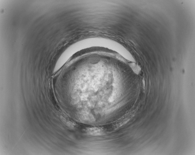 X0000087590511200705112306