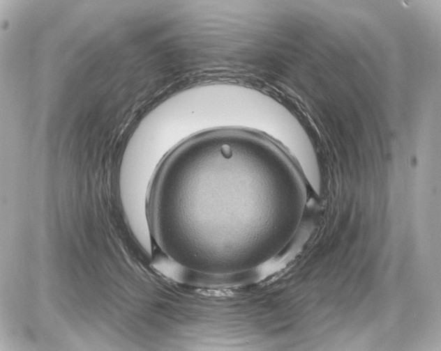 X0000087590512200705112306