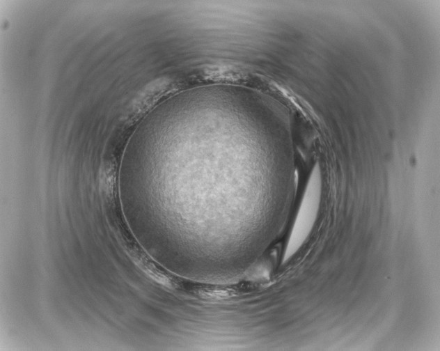 X0000087590513200705112306