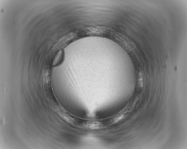 X0000087590514200705112306