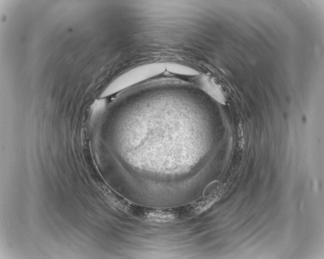 X0000087590515200705112306