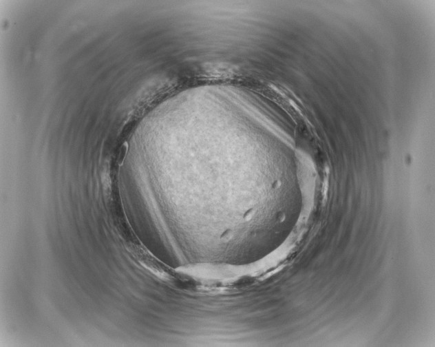 X0000087590516200705112306