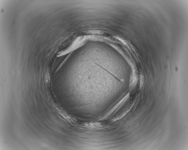 X0000087590517200705112306