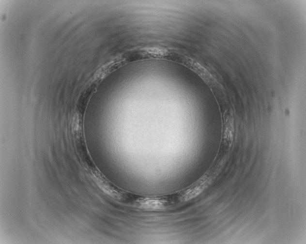 X0000087590518200705112306