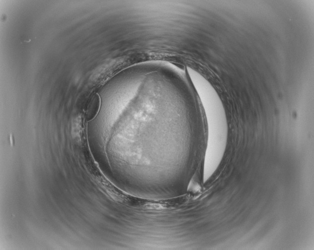 X0000087590519200705112306