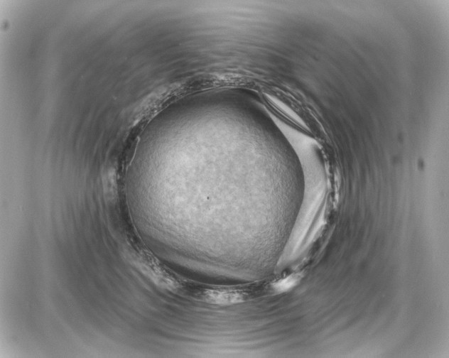 X0000087590520200705112306