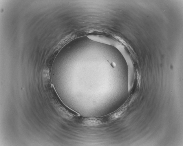 X0000087590521200705112306