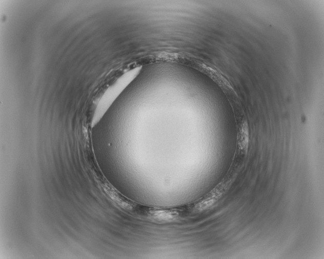 X0000087590522200705112306