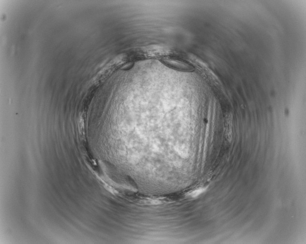 X0000087590523200705112306