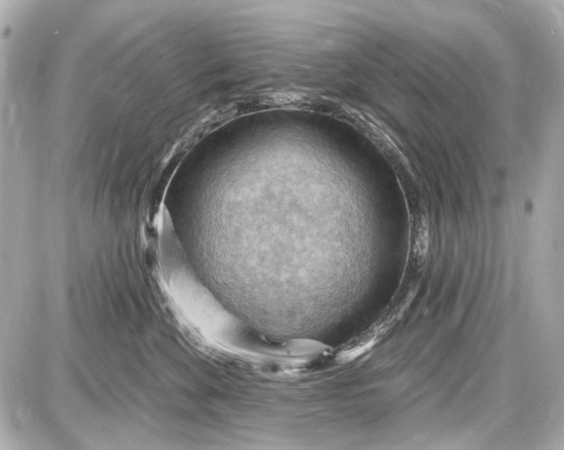 X0000087590524200705112306