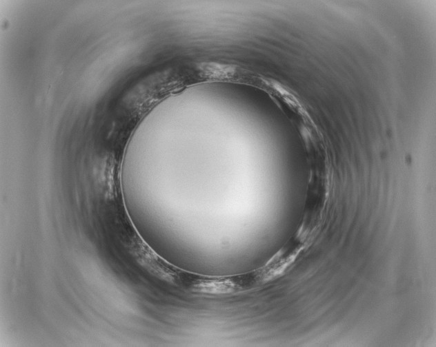 X0000087590525200705112306