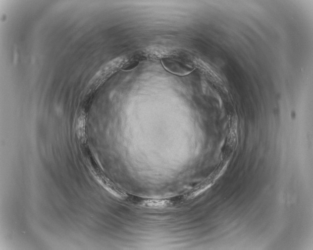 X0000087590526200705112306