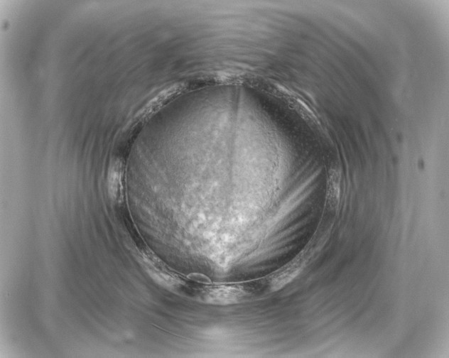 X0000087590527200705112306