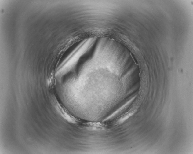 X0000087590528200705112306