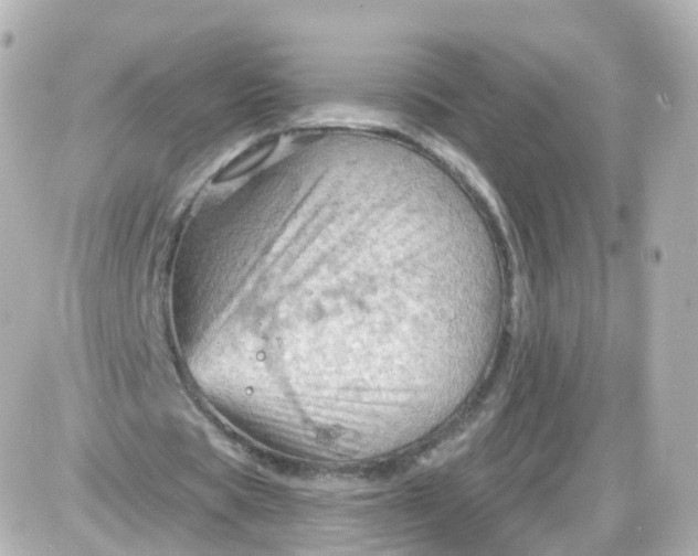 X0000087590529200705112305