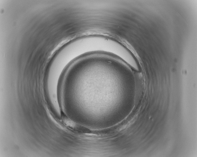 X0000087590530200705112305