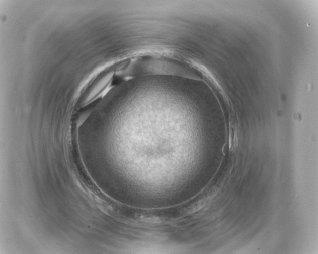 X0000087590531200705112305