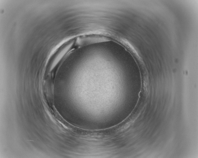 X0000087590532200705112305