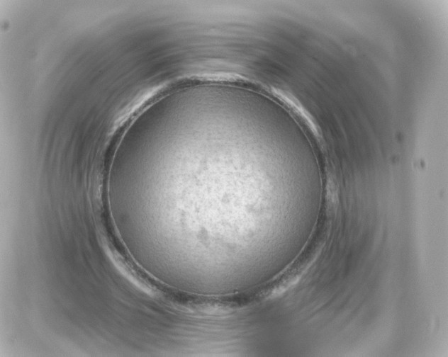 X0000087590533200705112305