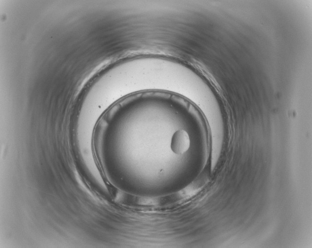 X0000087590534200705112305