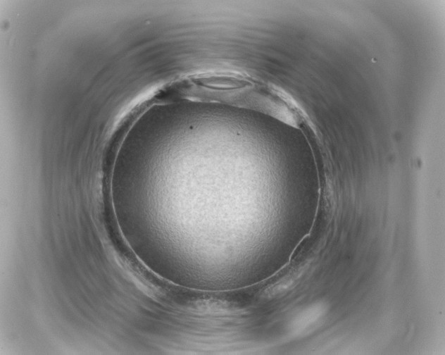 X0000087590535200705112305