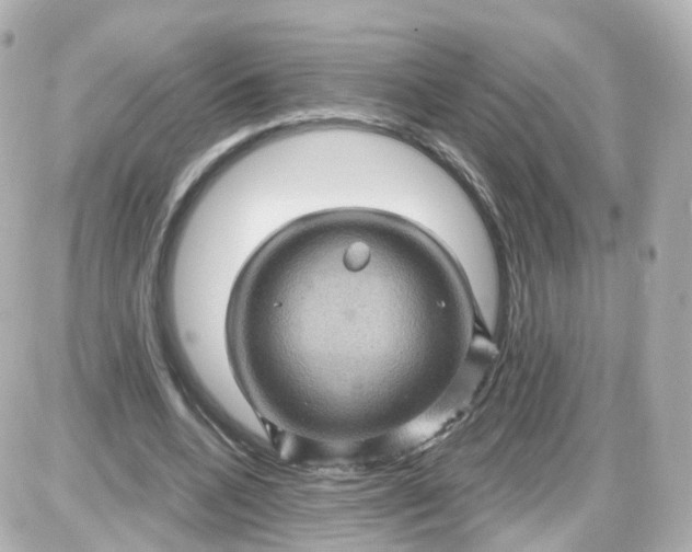 X0000087590536200705112305