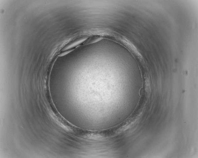 X0000087590537200705112305