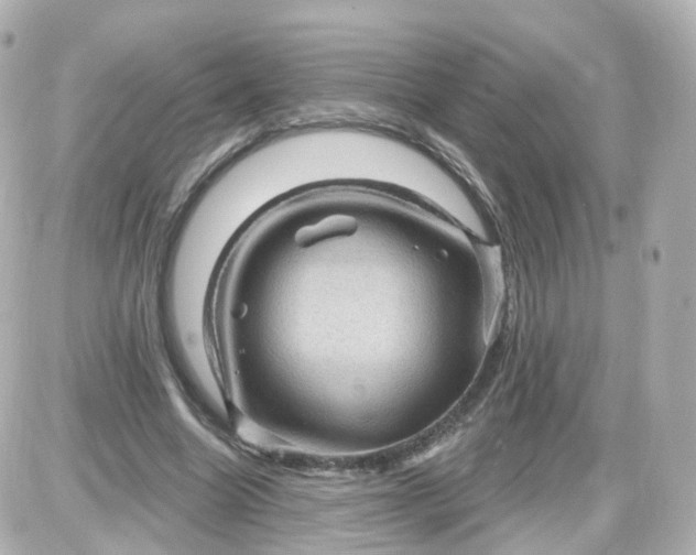 X0000087590538200705112305