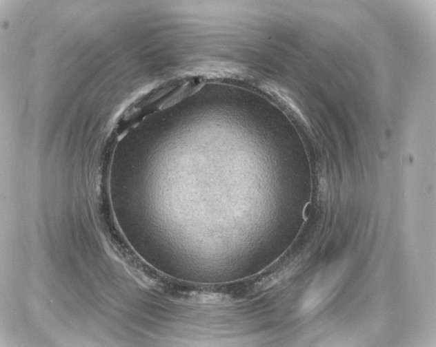 X0000087590539200705112305