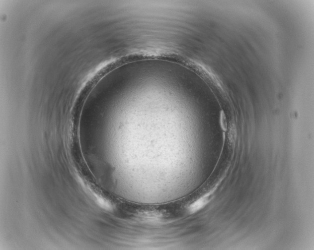 X0000087590540200705112306