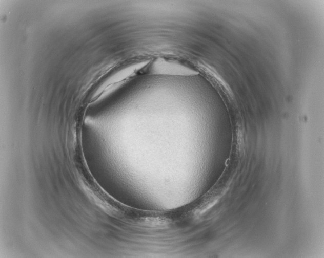 X0000087590541200705112306