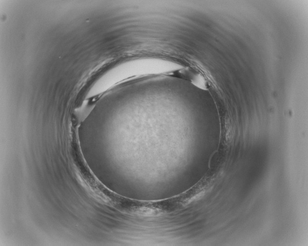 X0000087590542200705112306