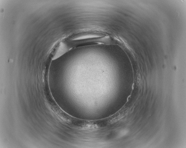 X0000087590543200705112306