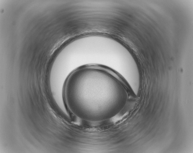 X0000087590544200705112306