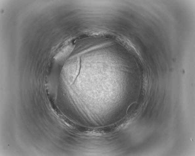 X0000087590545200705112306