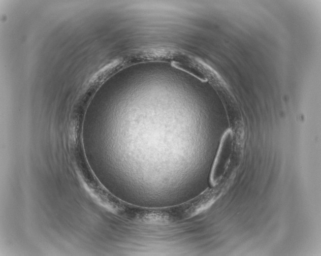 X0000087590546200705112306