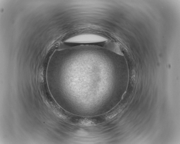 X0000087590547200705112306