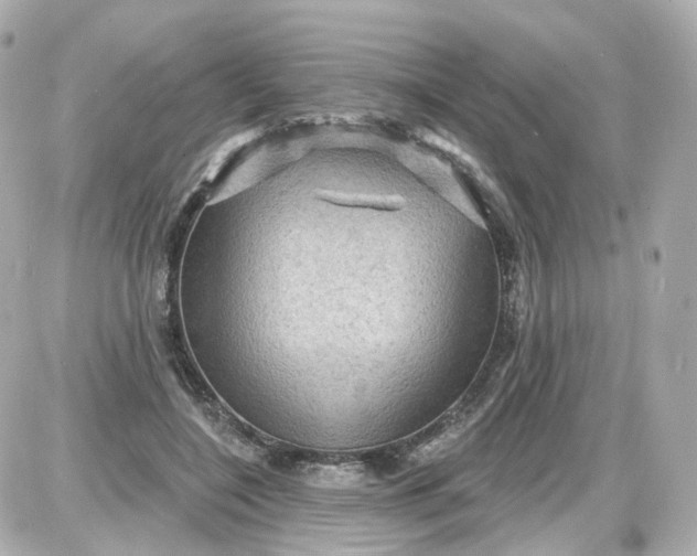 X0000087590548200705112306