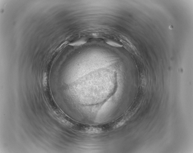 X0000087590549200705112306