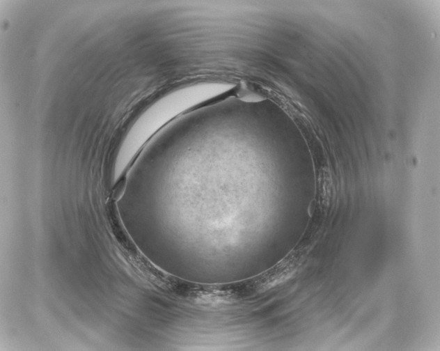 X0000087590550200705112306