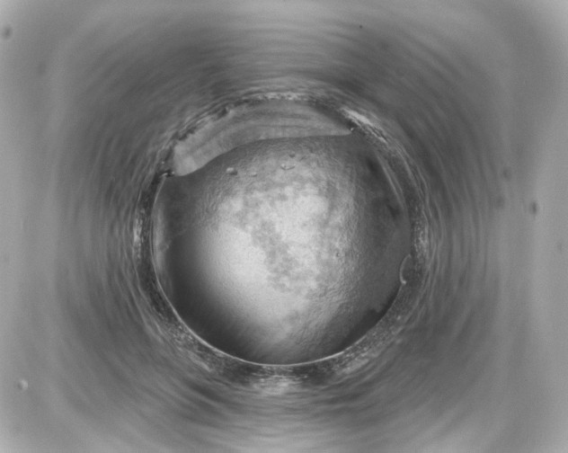 X0000087590551200705112306